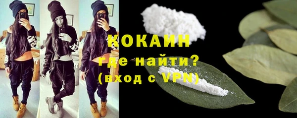 сатива Волосово