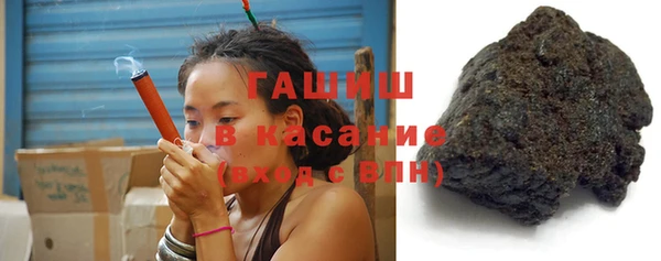 сатива Няндома