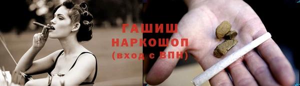 сатива Волосово