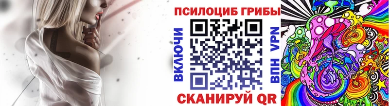 Псилоцибиновые грибы Psilocybe  Купить закладки  Кудрово 